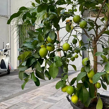 Alle Porte Del Castello 23 * Catania